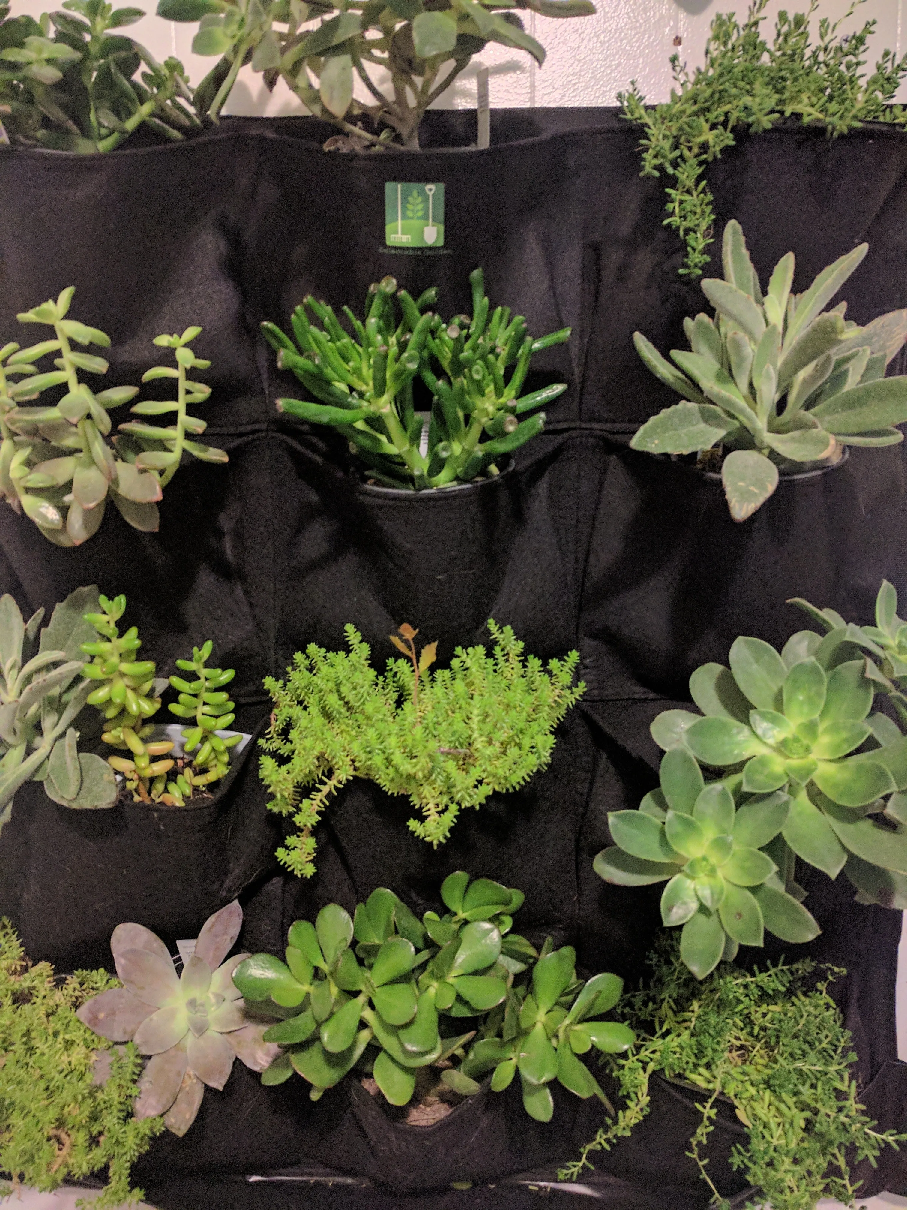 12 Pocket Outdoor Vertical Living Garden Wall Planter