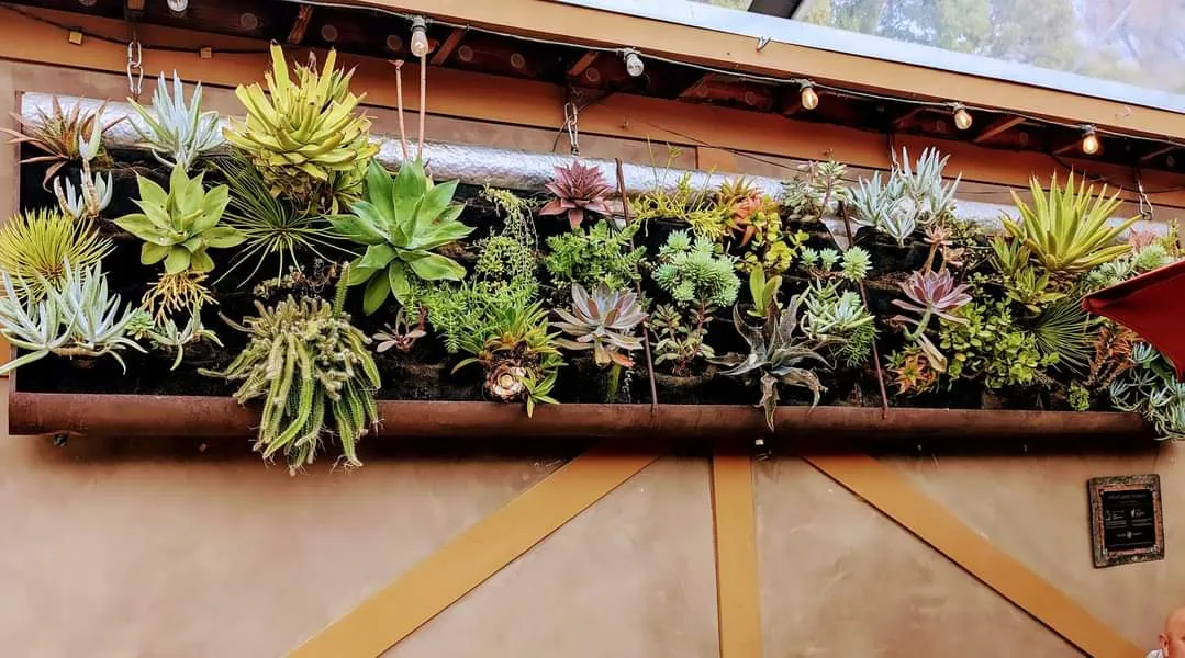 12 Pocket Outdoor Vertical Living Garden Wall Planter