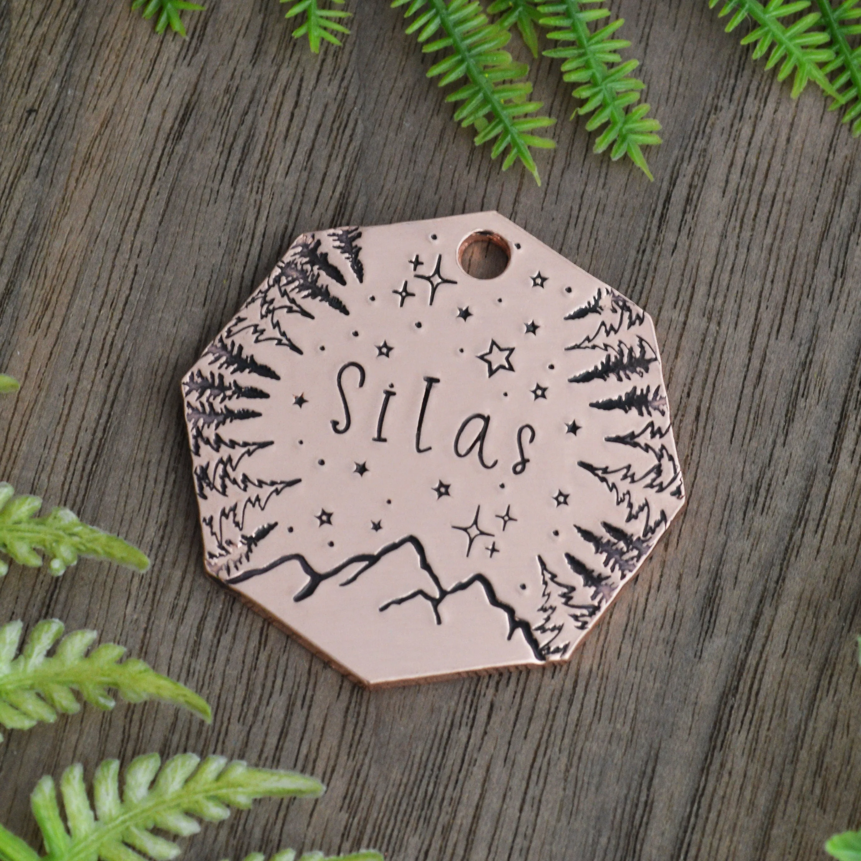 Above the Peaks Hand Stamped Dog Collar Tag
