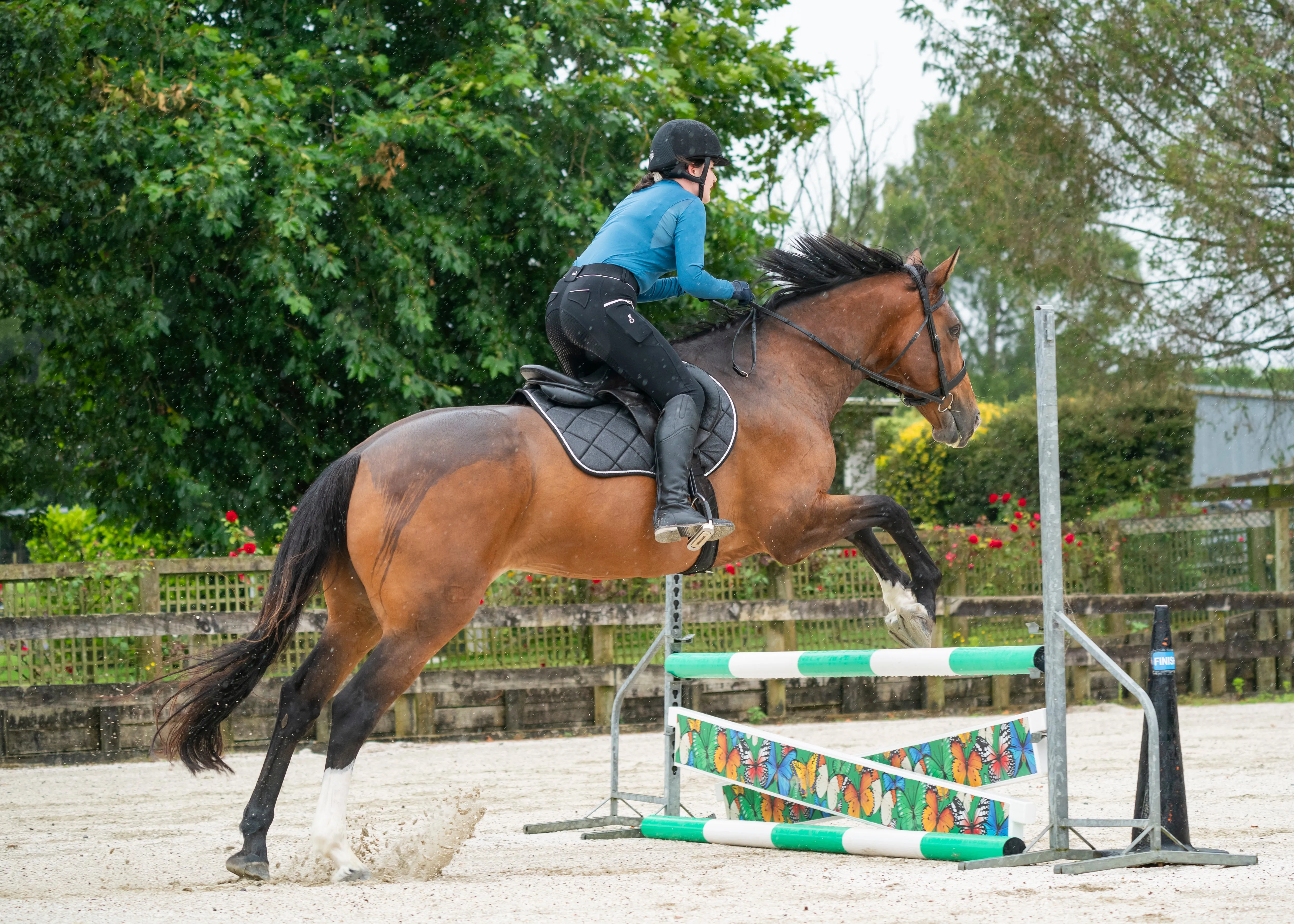 Black Glitter Jump Saddle Pad