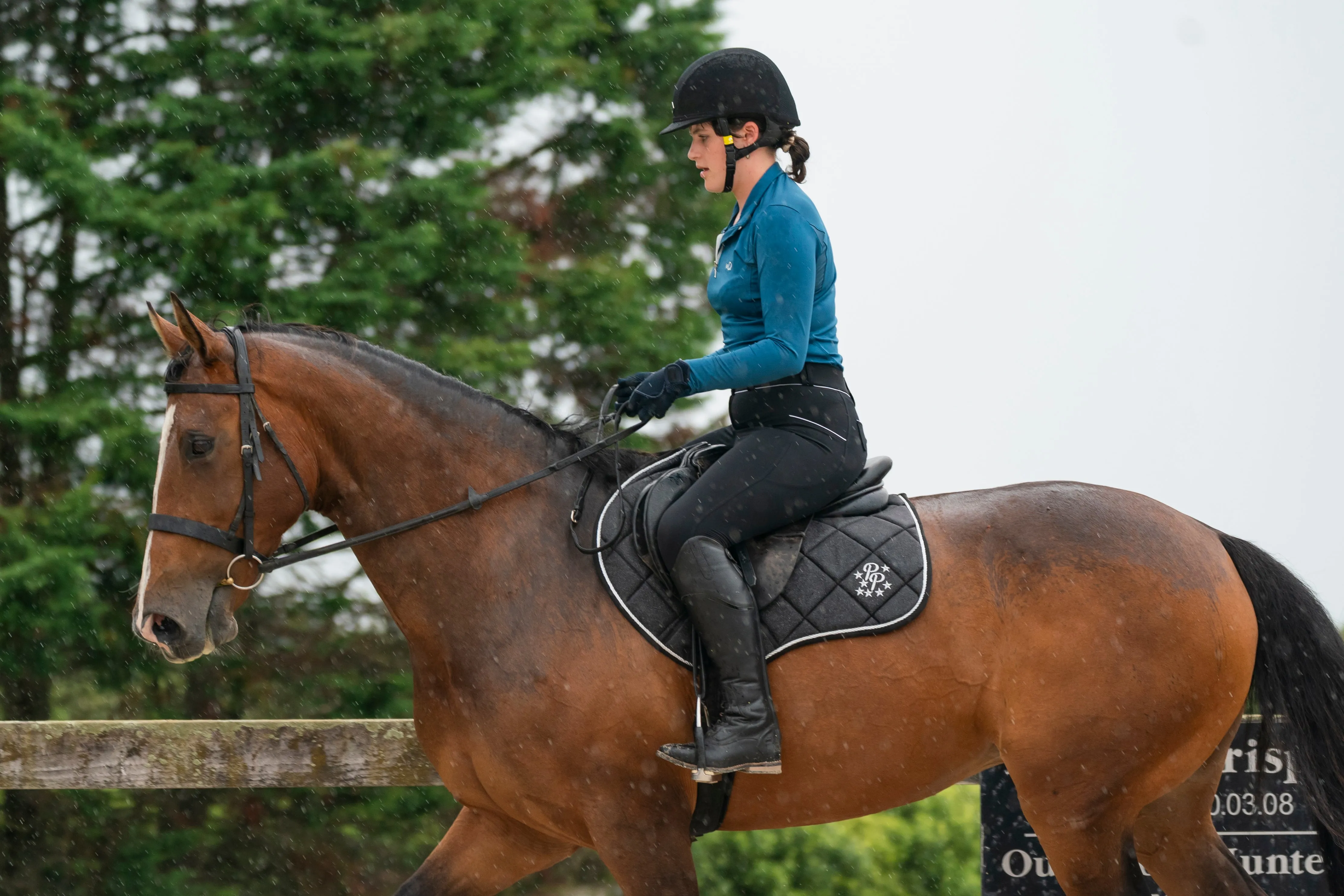 Black Glitter Jump Saddle Pad