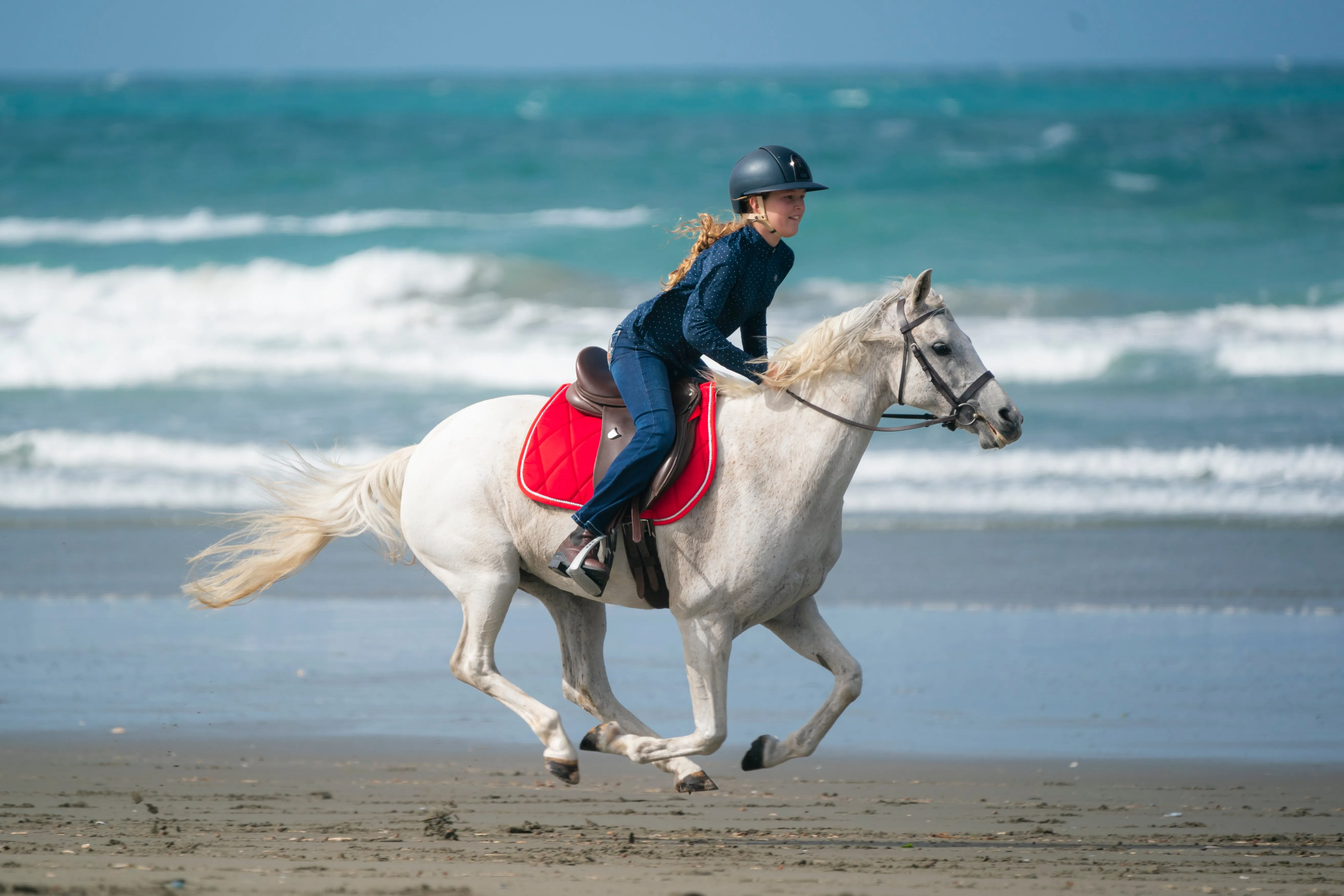 Cherry Red Saddle Pads - Jump, GP, and Dressage cuts
