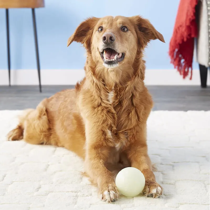 Chuckit Max Glow Ball
