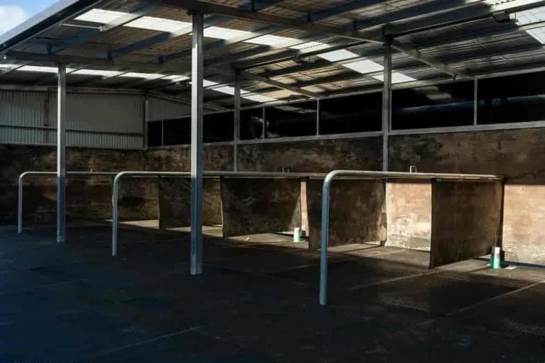 Commercial Grade Livestock Rubber Stall Mats | 17mm