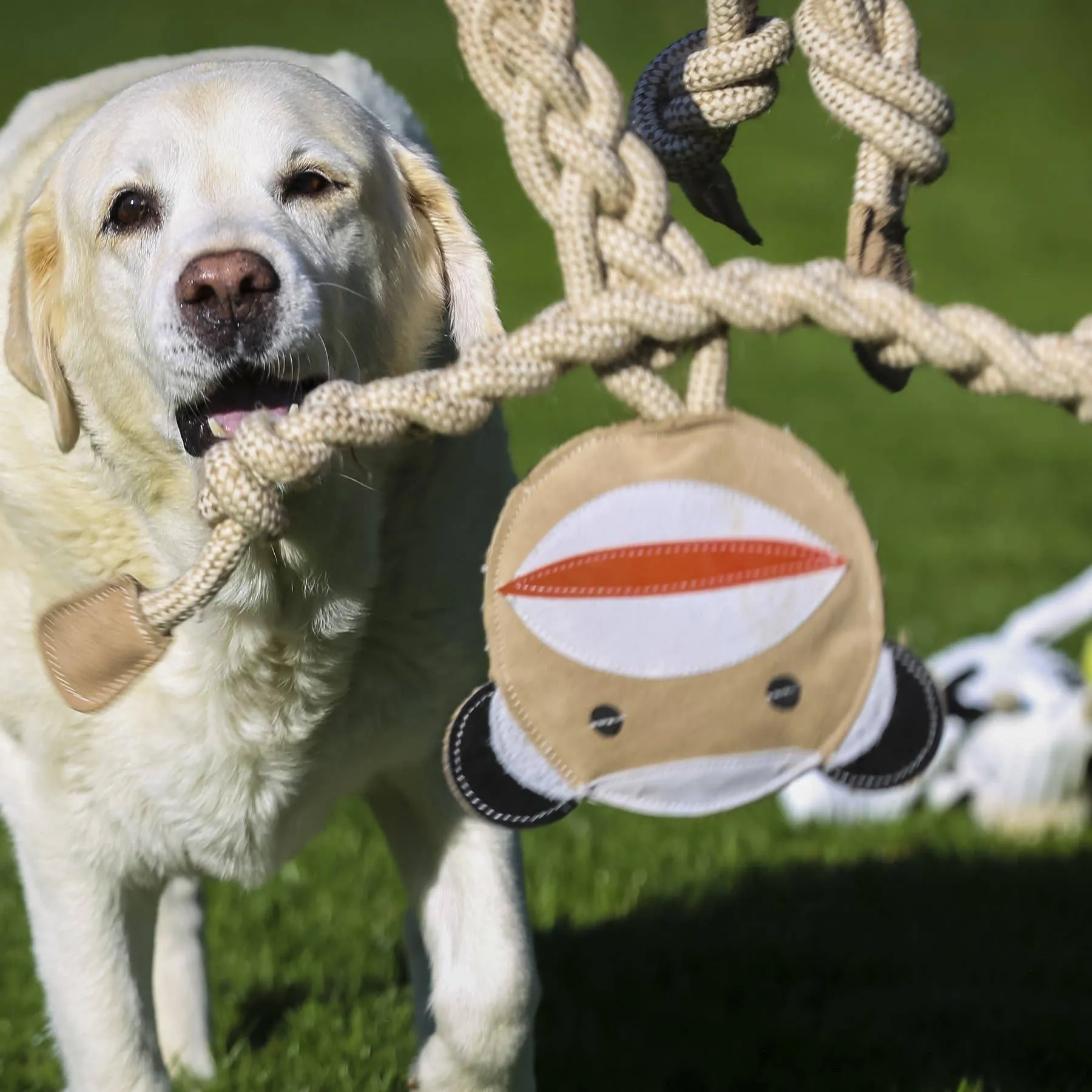 Duck Natural Rope Knottie®, Large (9mm d.) Dog Toy (Copy)