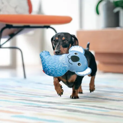 DURABLES Dog Toy — Koala