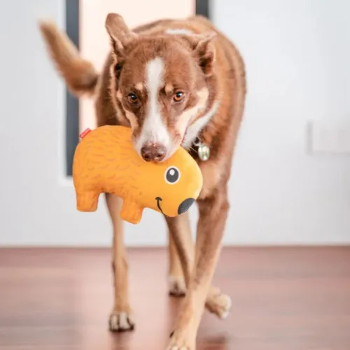 DURABLES Dog Toy — Wombat
