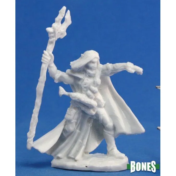 Elquin, High Elf Adventurer (77092)