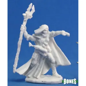 Elquin, High Elf Adventurer (77092)