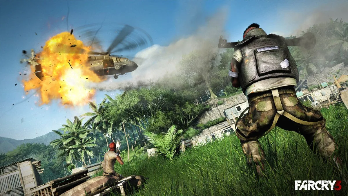 Far Cry 3 (PC)