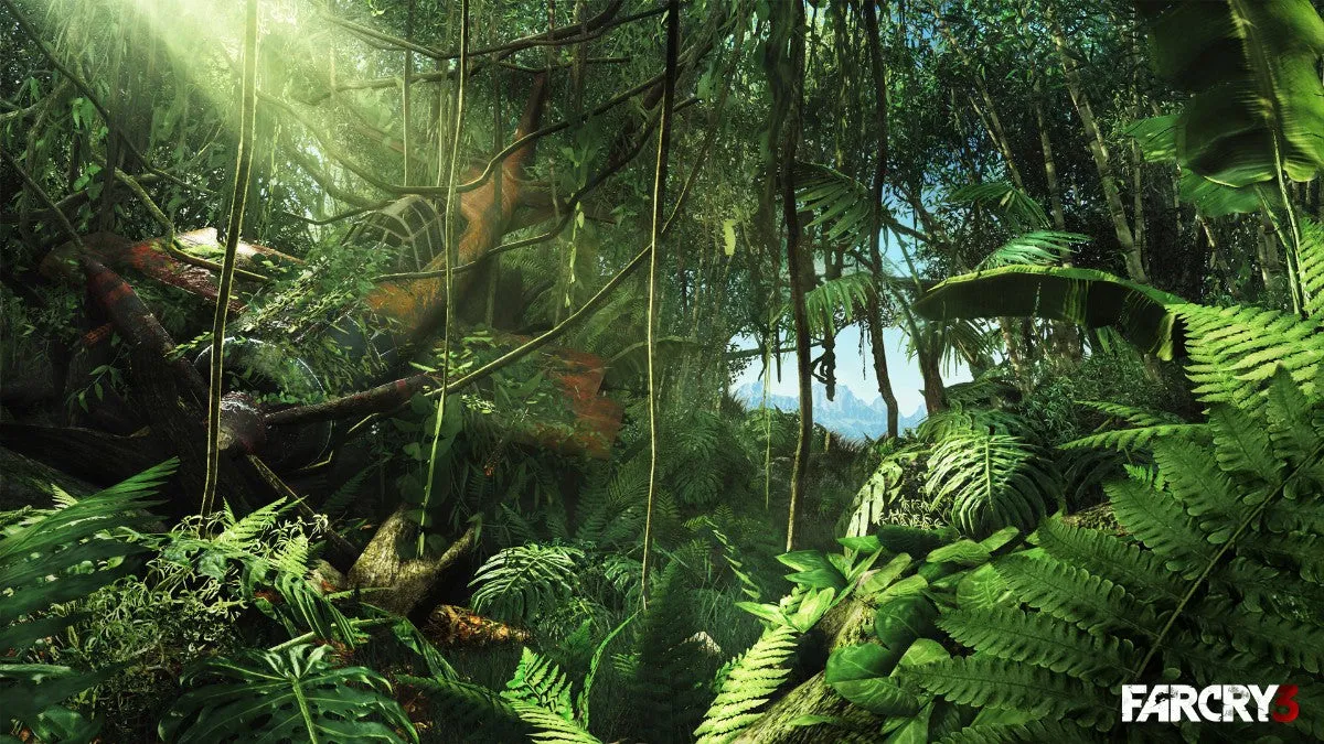 Far Cry 3 (PC)
