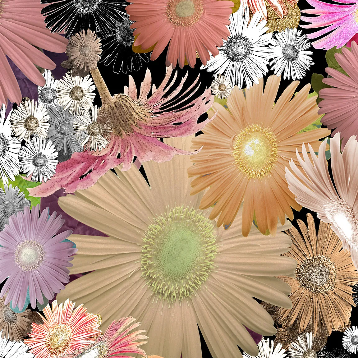 Floral Throw Pillow 'C Floral 01'