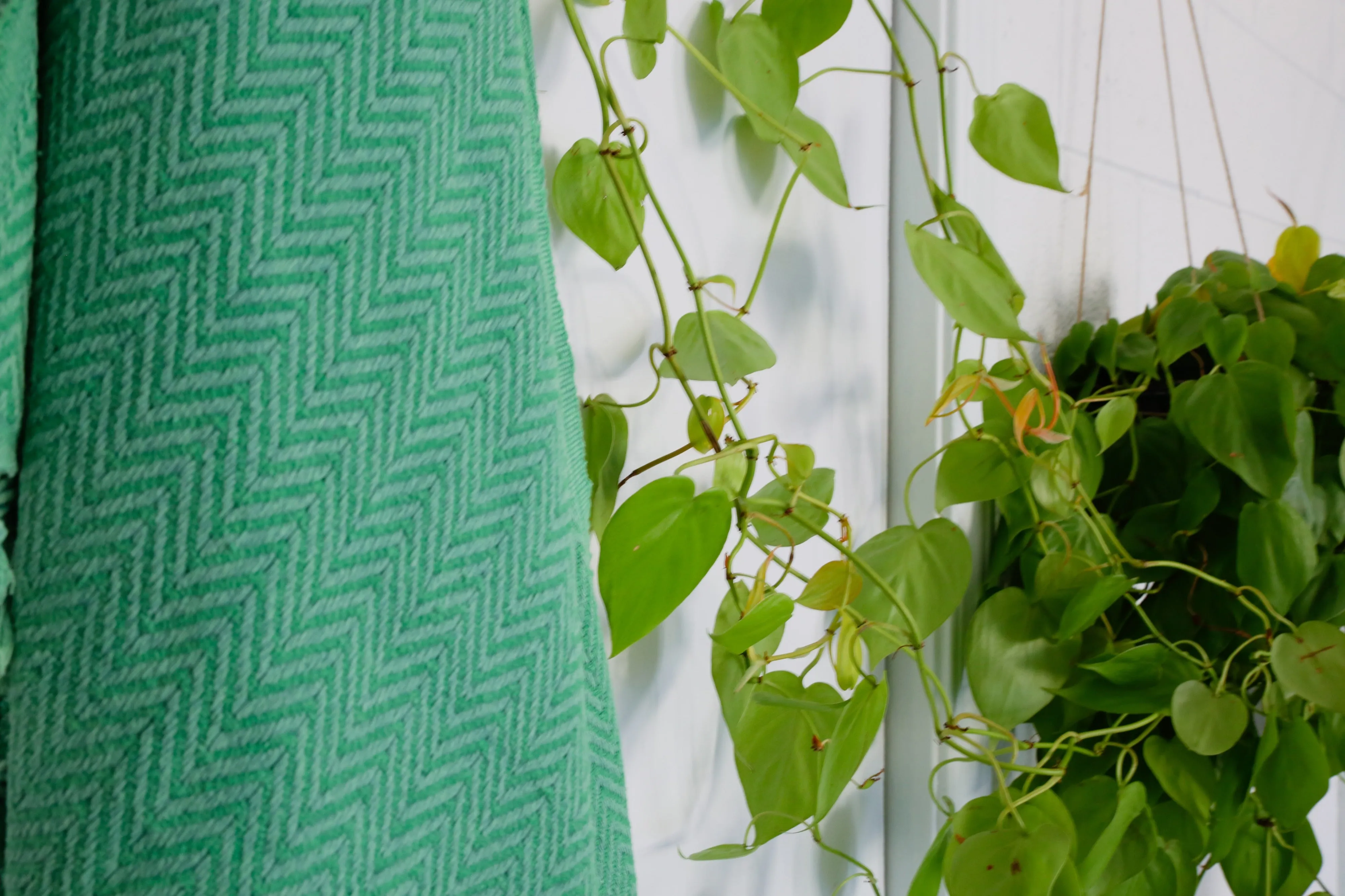 Handwoven Sabah Pestemal Towel in grass