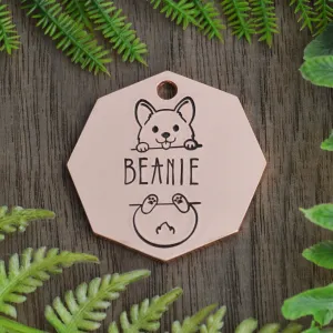 Hang in There Hand Stamped Dog Collar Tag
