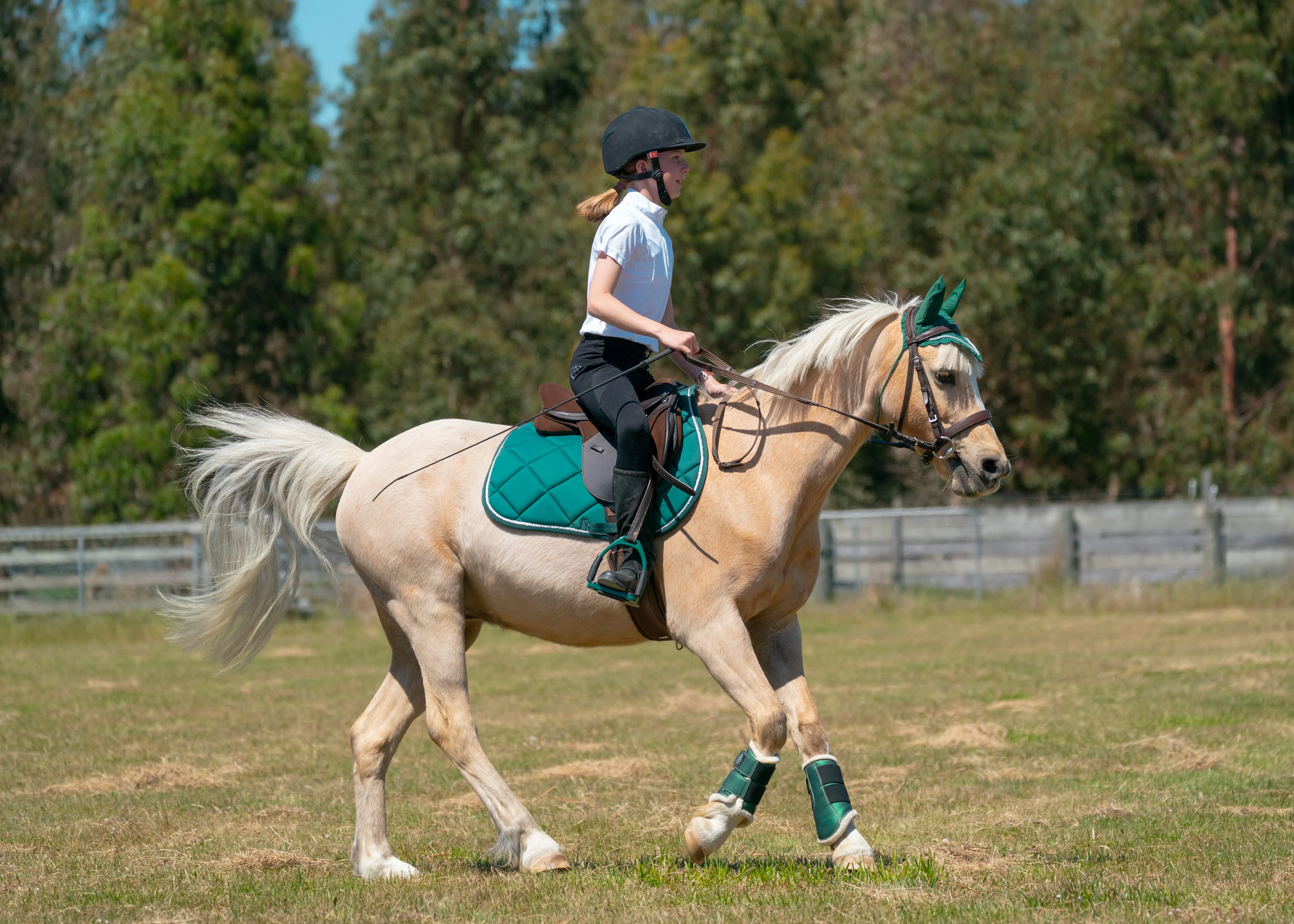 Hunter Green Saddle Pads - Jump, GP, and Dressage cuts