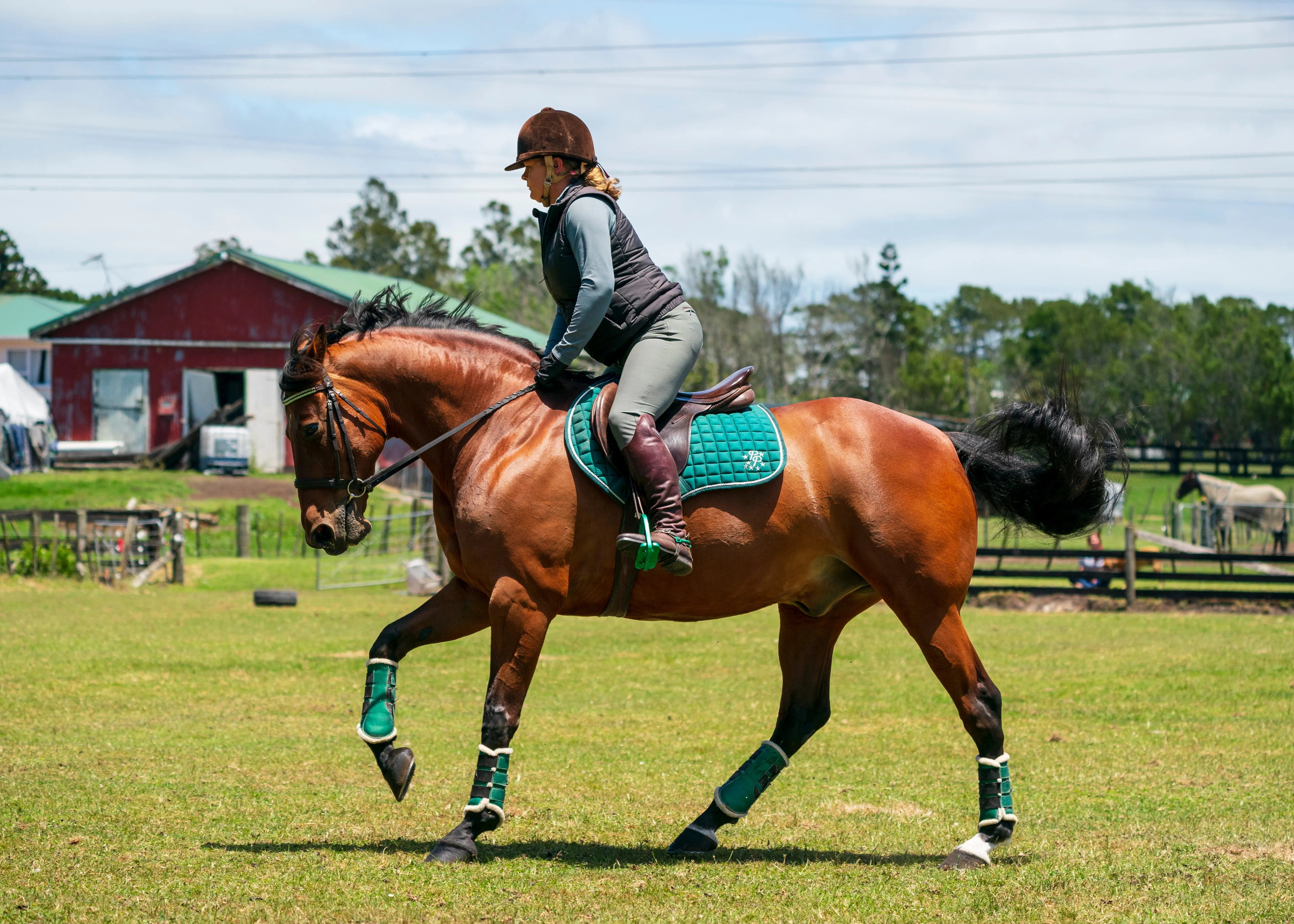 Hunter Green Saddle Pads - Jump, GP, and Dressage cuts