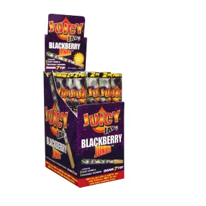Juicy Jay's Jones Blackberry Cones 2 Per Tube - (24 Count Display)