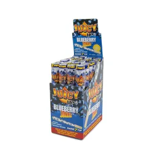 Juicy Jay's Jones Blueberry Cones 2 Per Tube - (24 Count Display)