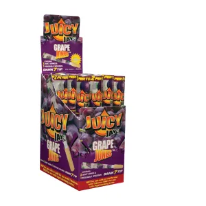 Juicy Jay's Jones Cones 2 per Tube - Various Flavors - (24 Count Display)