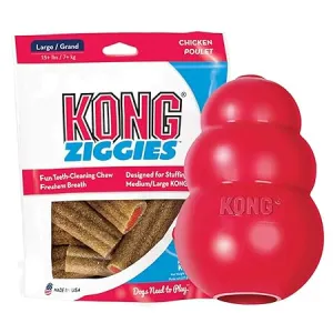 KONG Classic Durable Natural Rubber Dog Toy, Red