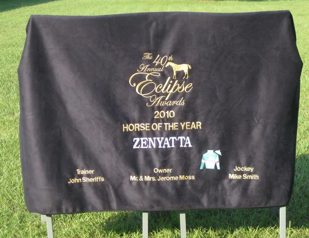 LT EquSuede Throw