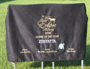 LT EquSuede Throw