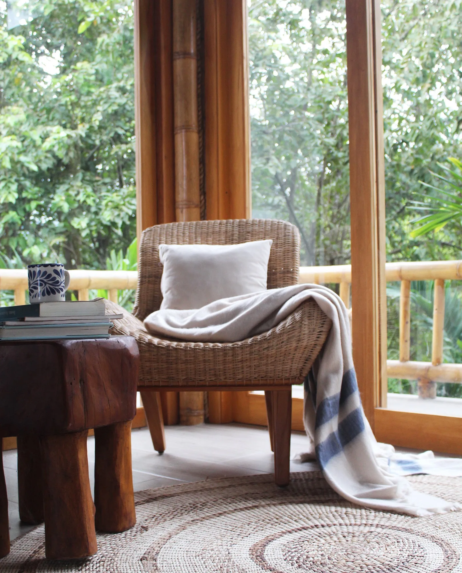 Luxury Collection Ultra Soft Throw Blanket
