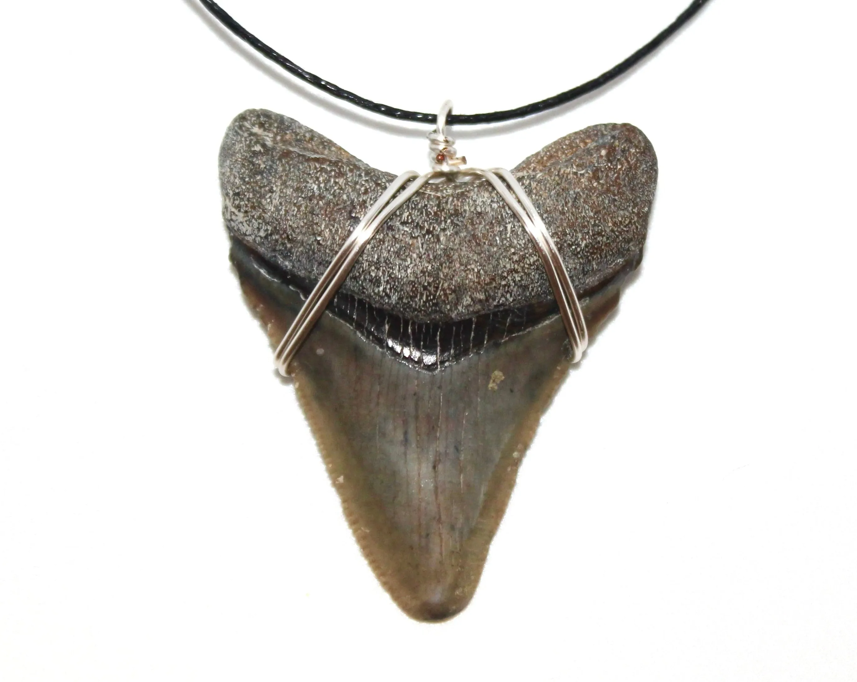 Megalodon Necklace