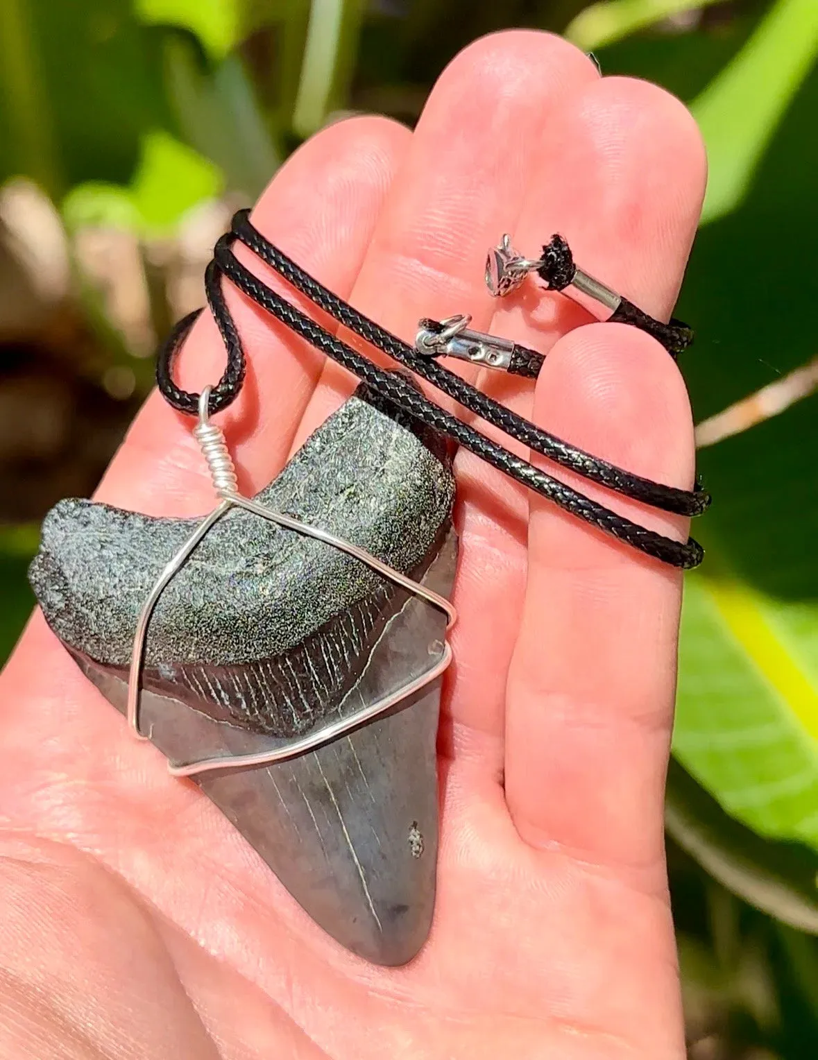 Megalodon Necklace