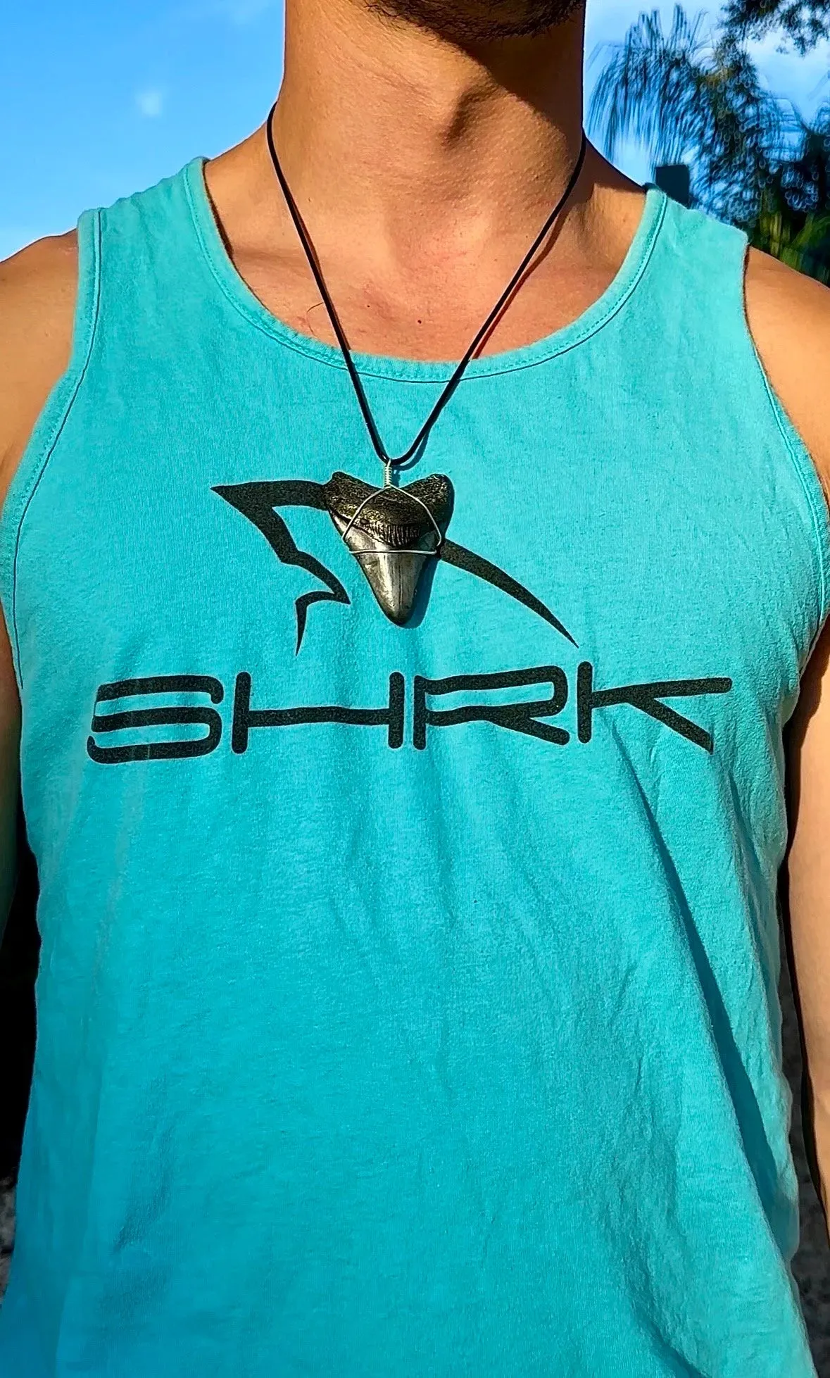 Megalodon Necklace