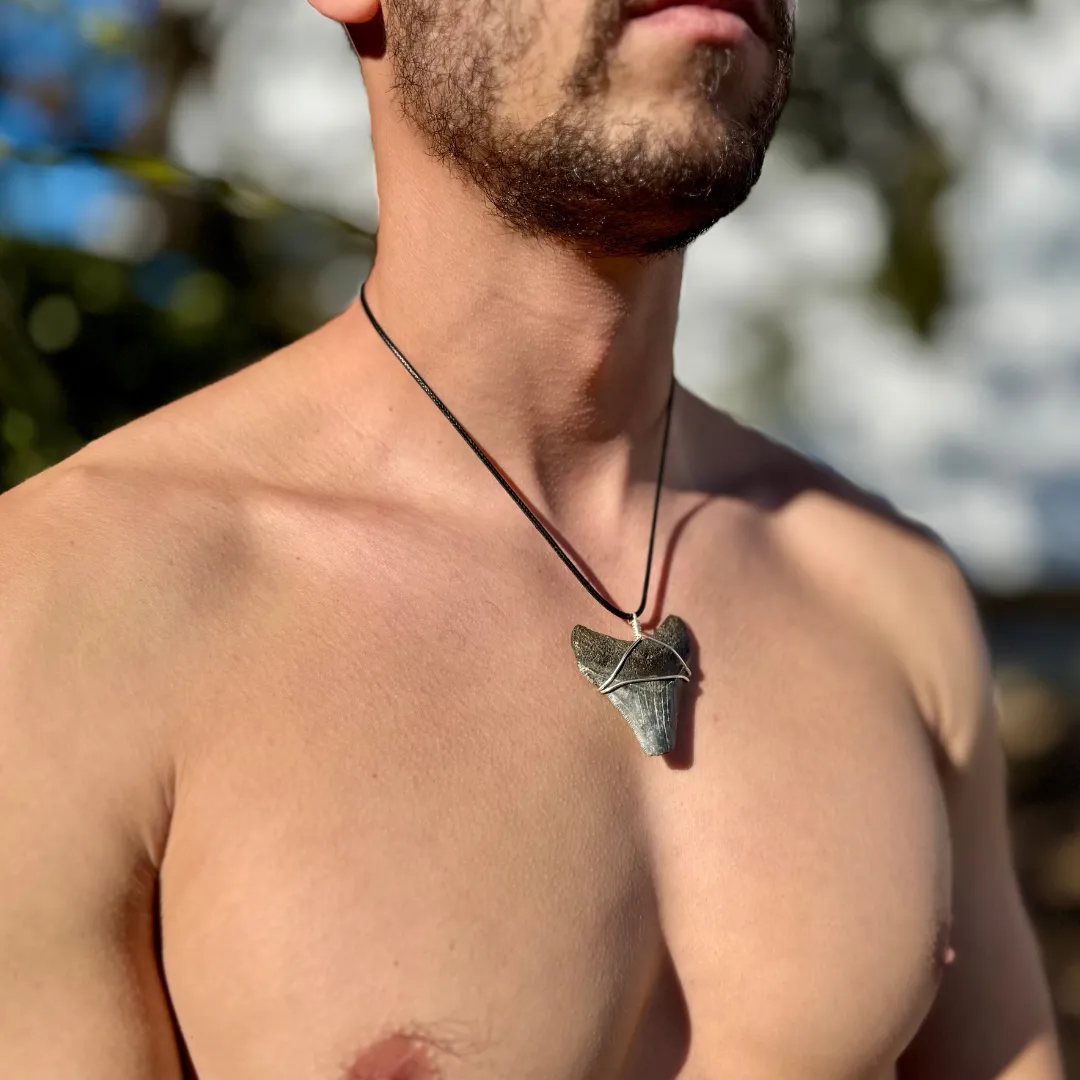 Megalodon Necklace