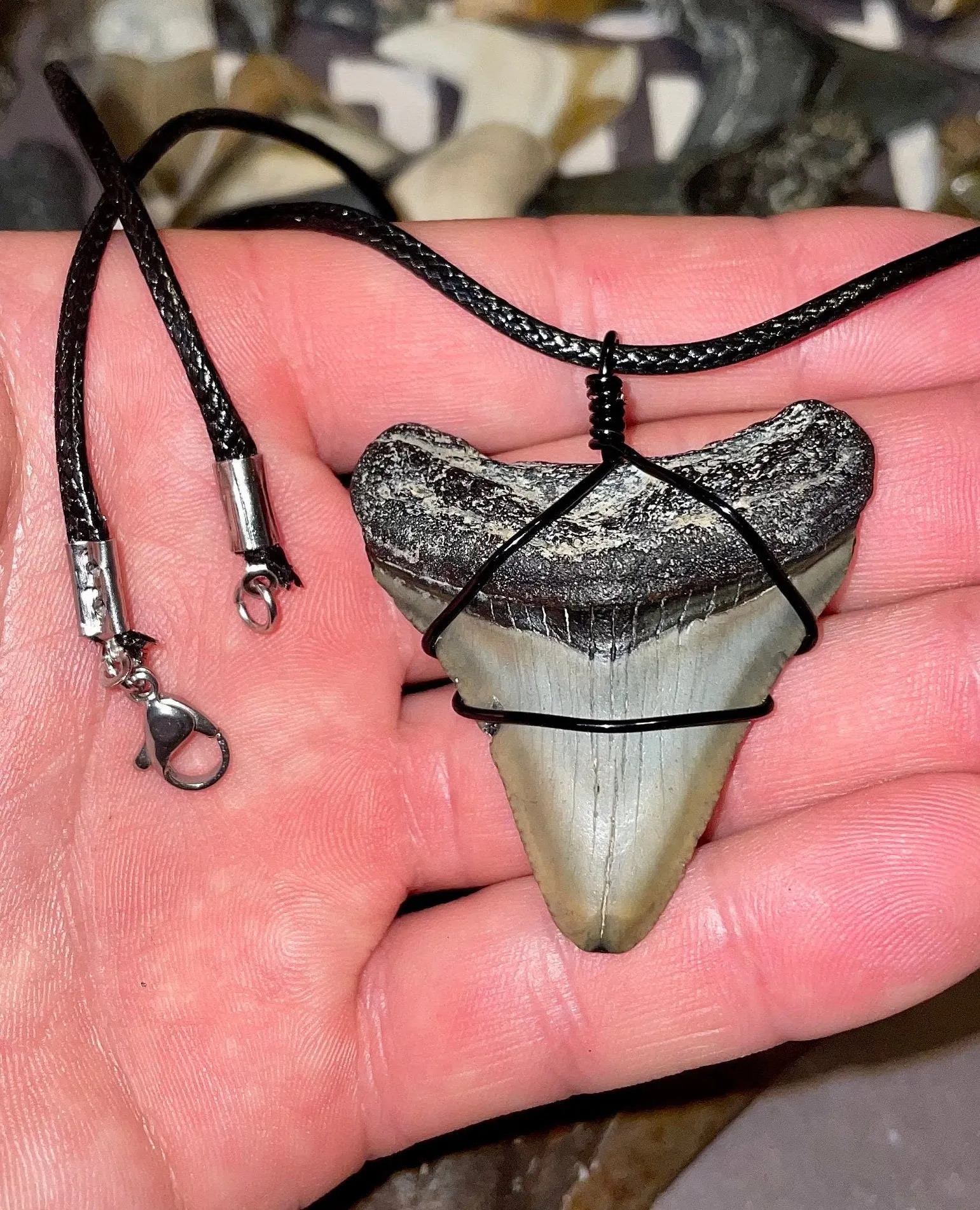 Megalodon Necklace