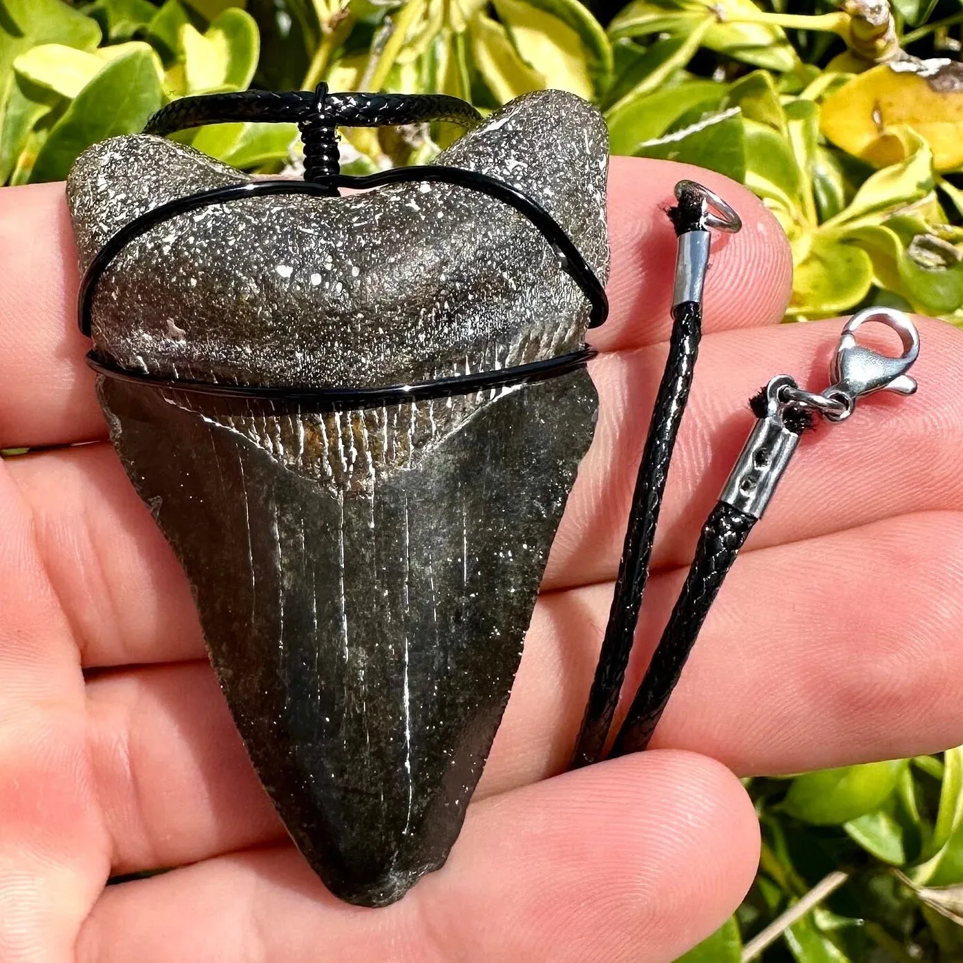 Megalodon Necklace