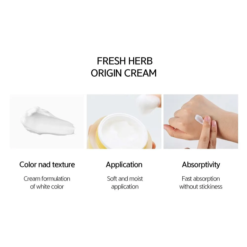 NACIFIC Fresh Herb Origin Cream 50ml
