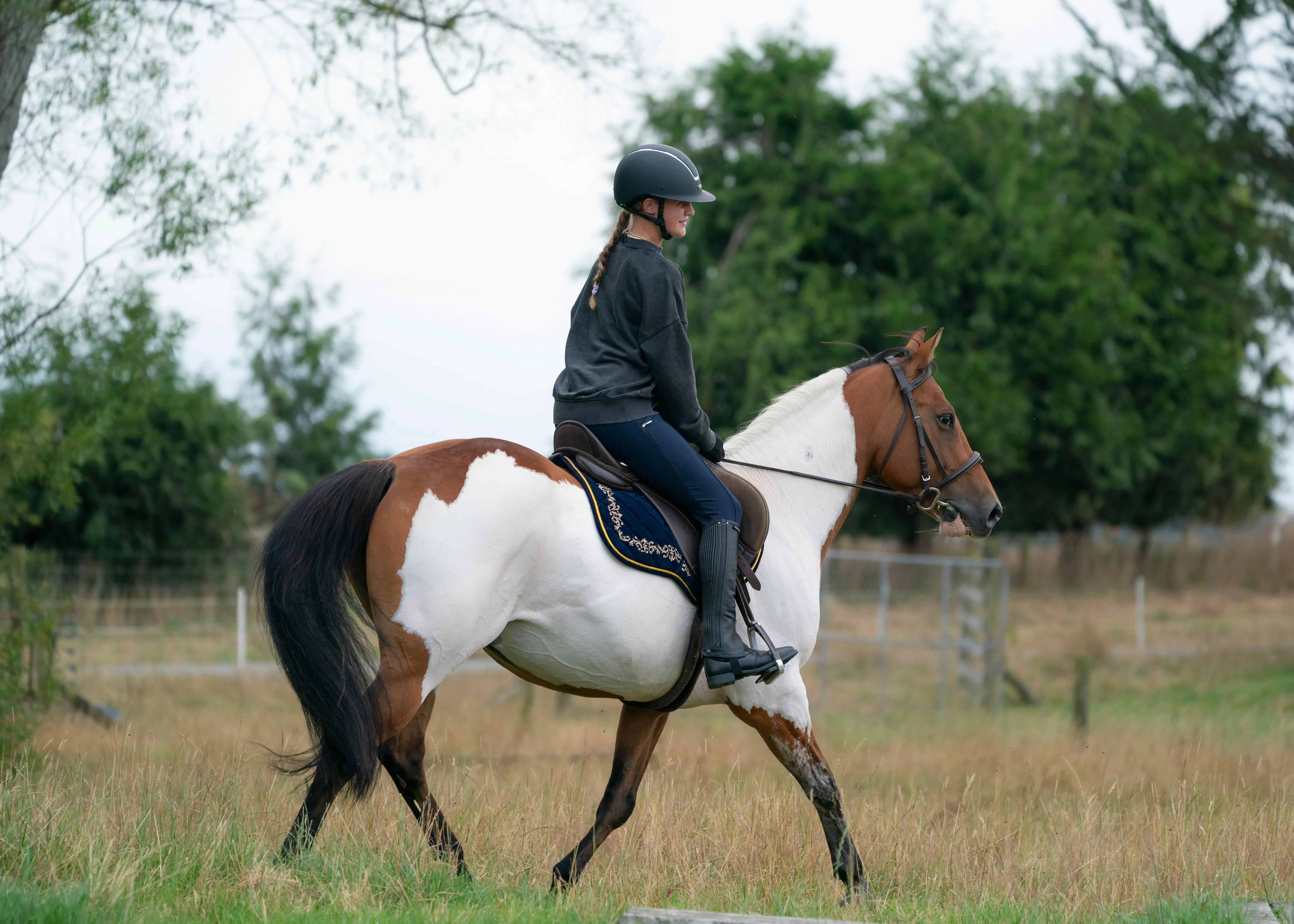 Navy Velvet Baroque Saddle Pads - GP, Jump, and Dressage Cuts