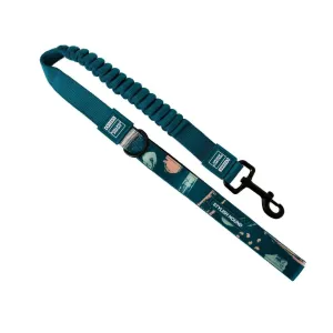 Nova Cruise Control Obedience Leash