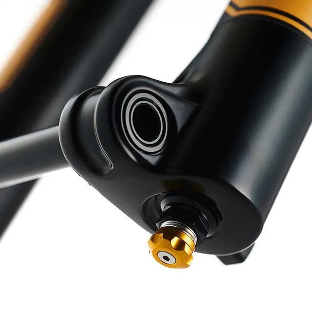 Ohlins RXF38 m.2 Air, 170mm - 29"