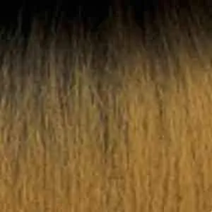 Outre Synthetic Pre Stretched Braid - BABE 54"