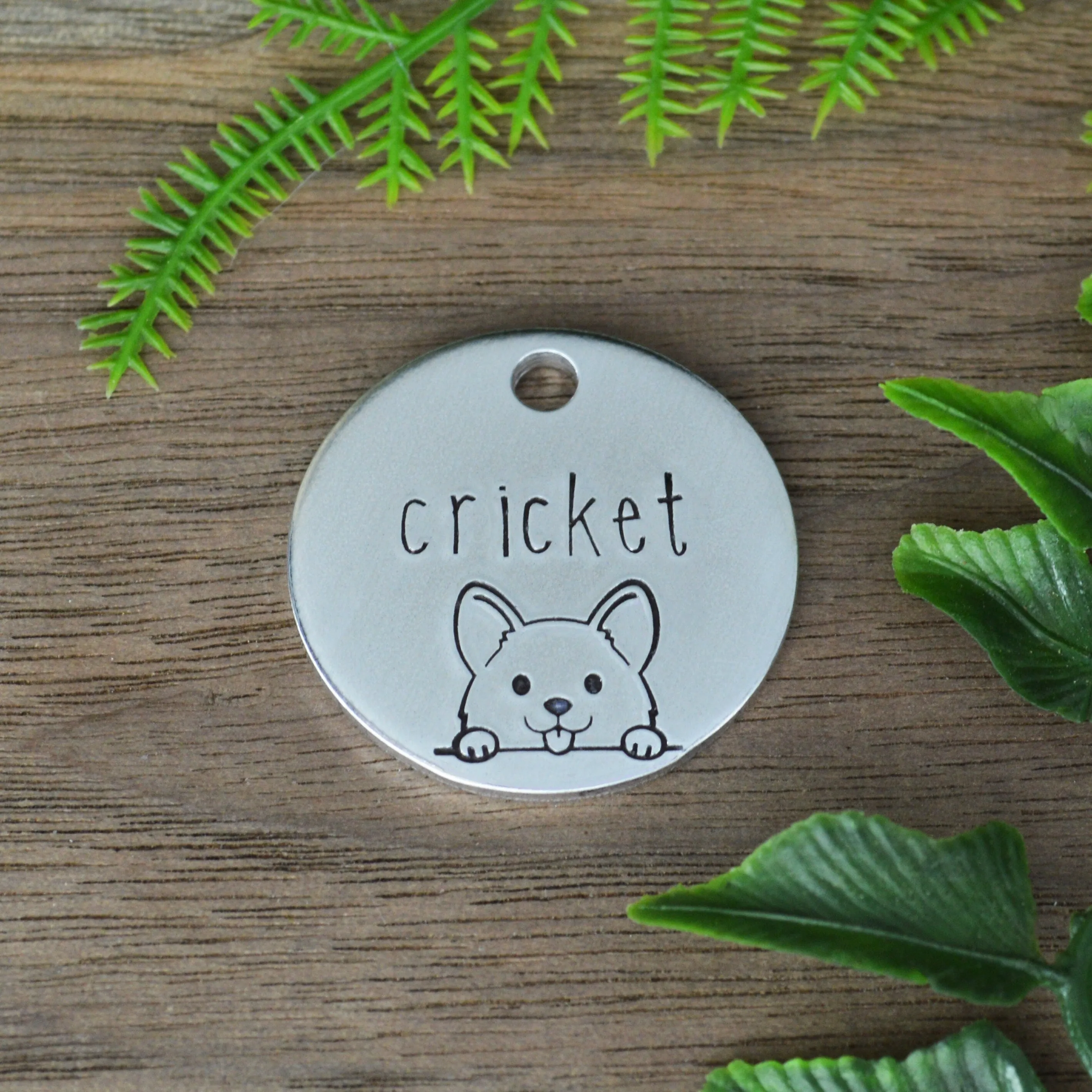 Peek-a-Boo Pup Dog Tag