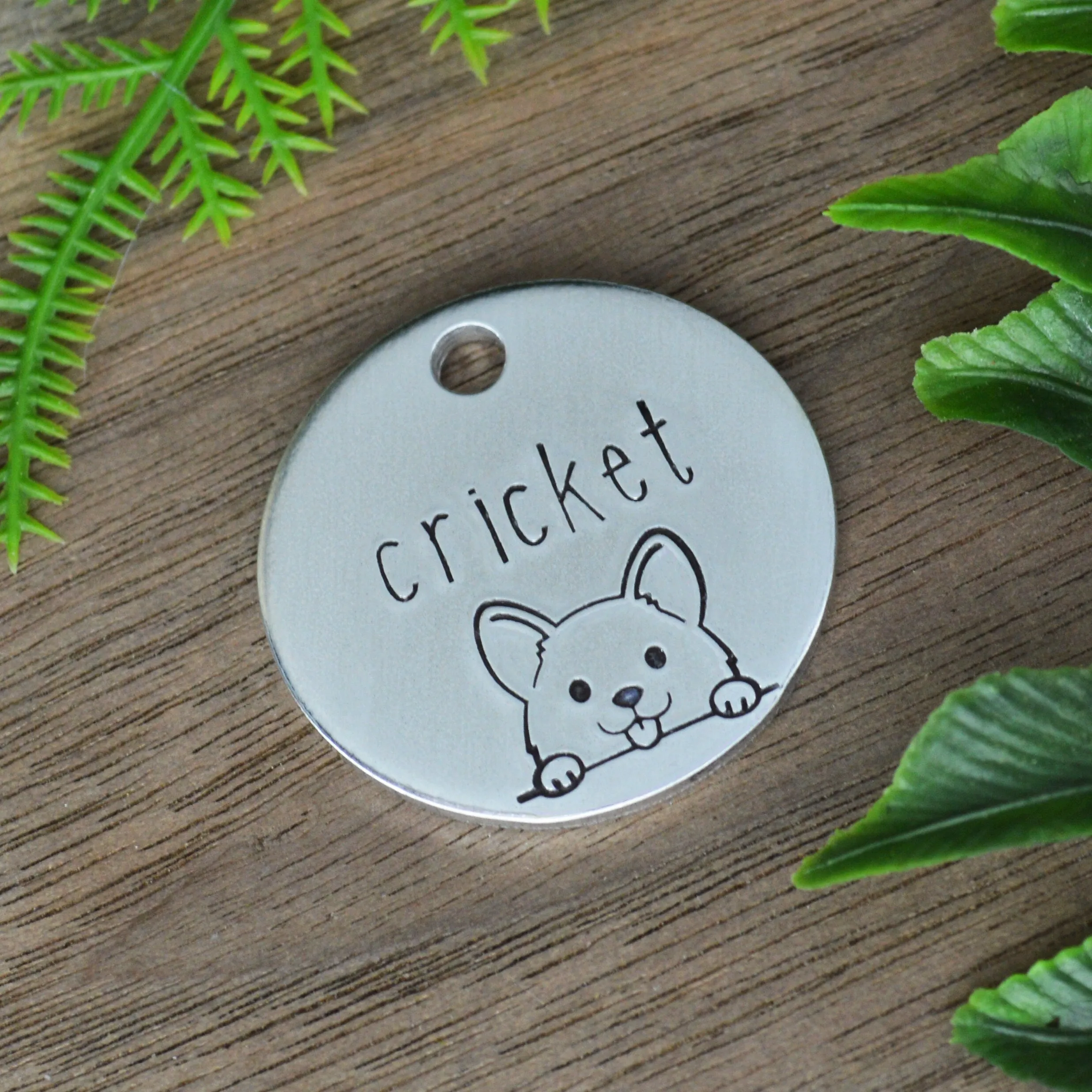 Peek-a-Boo Pup Dog Tag
