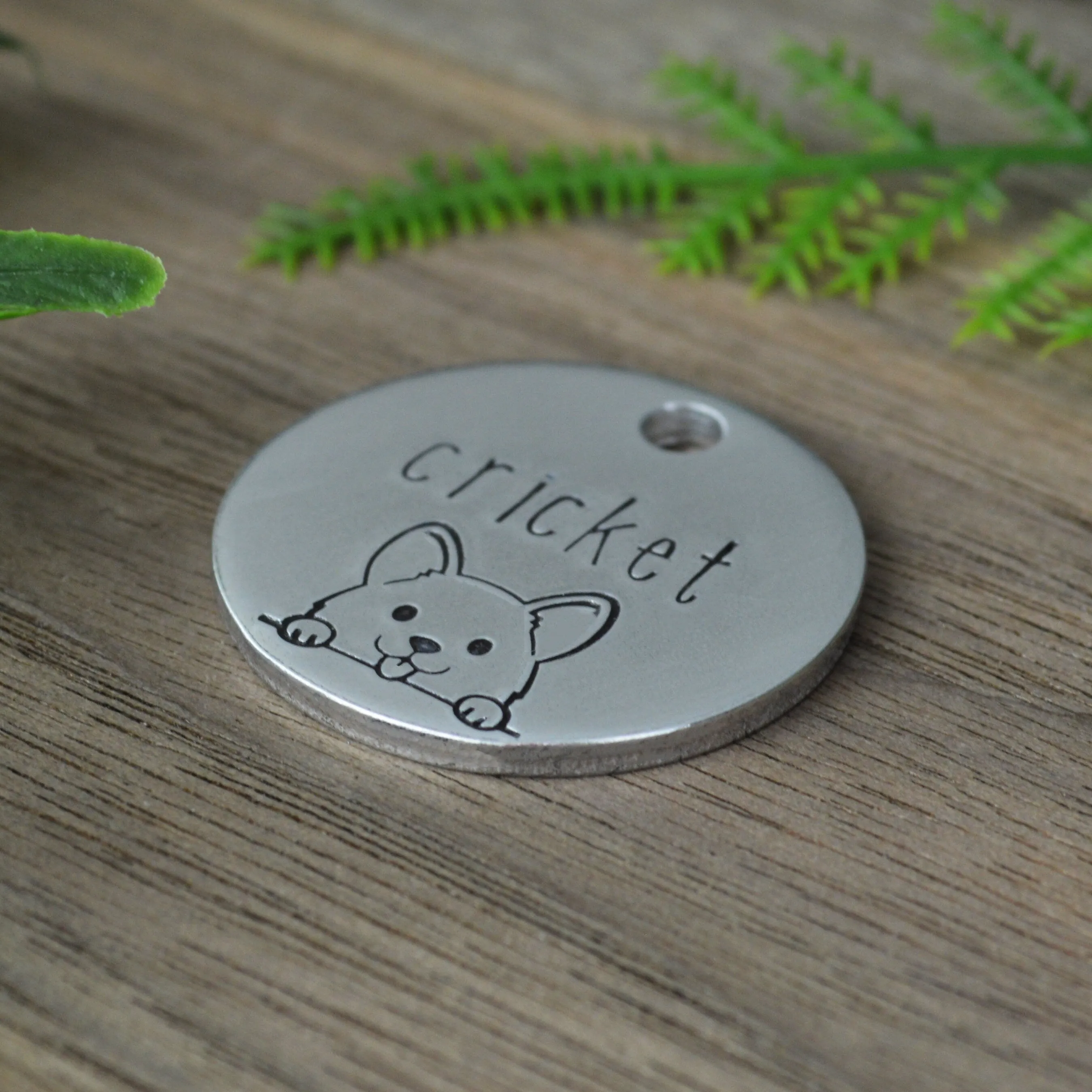 Peek-a-Boo Pup Dog Tag