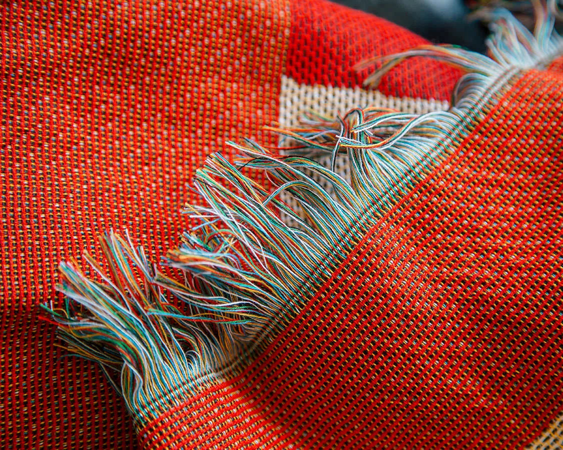 Plaid Throw Blanket
