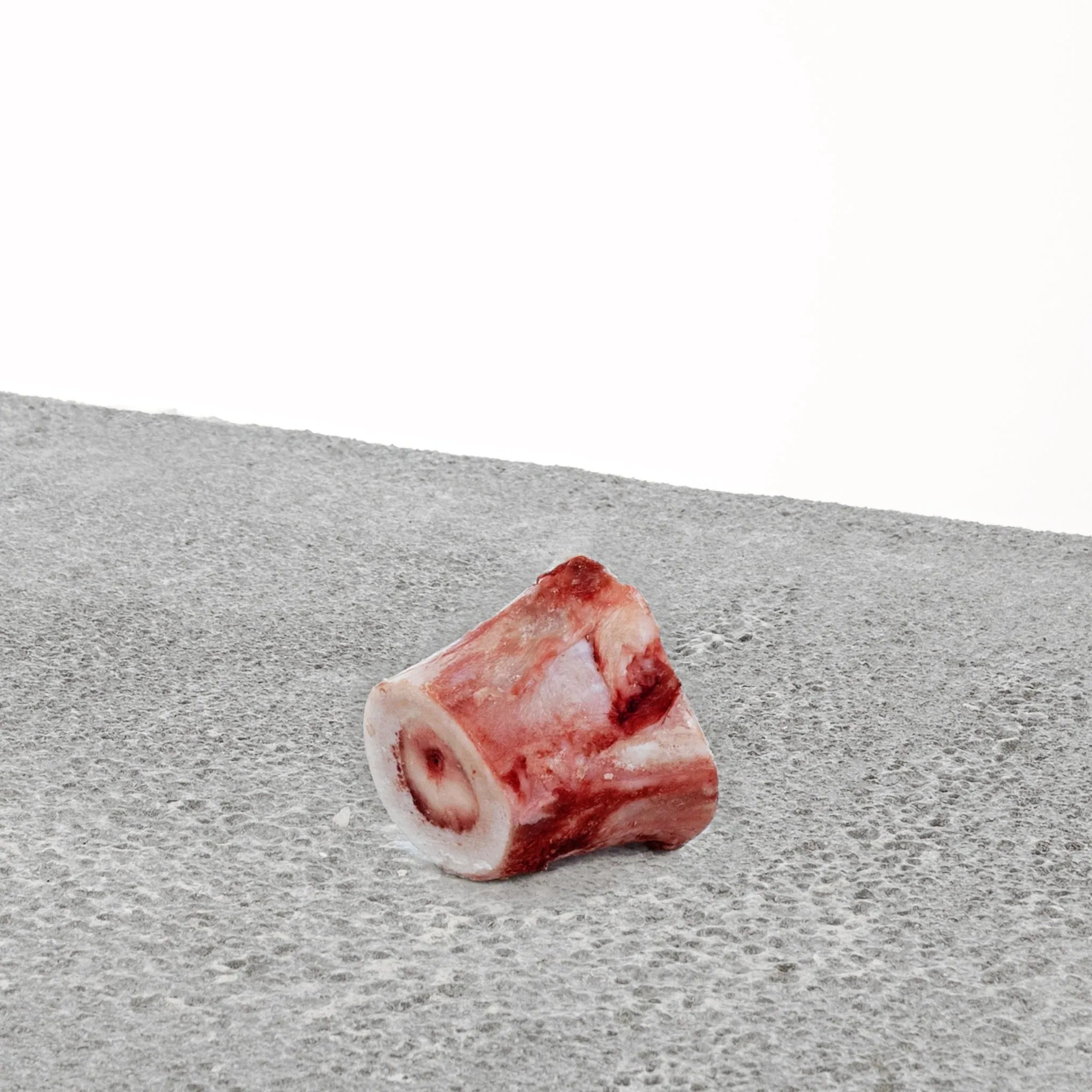 Primal Raw Beef Marrow Bone - Various Sizes Available