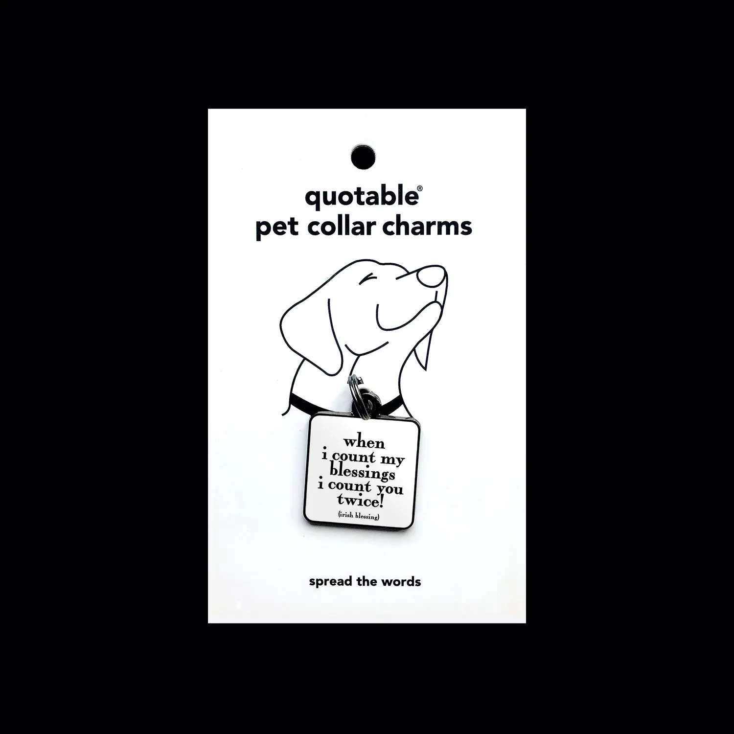 "count my blessings" pet collar charm