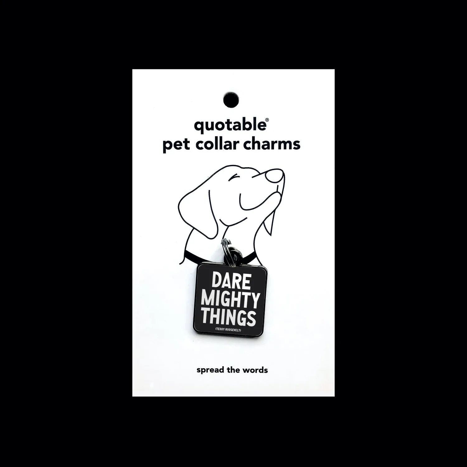 "dare mighty things" pet collar charm