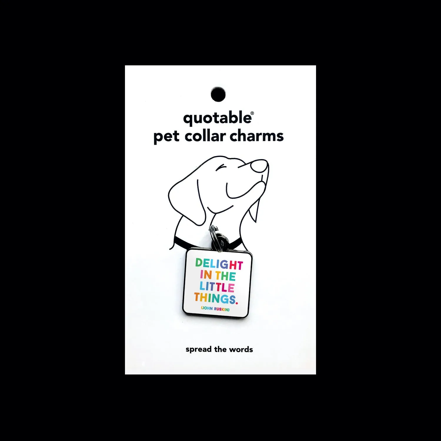 "delight in the little things" pet collar charm