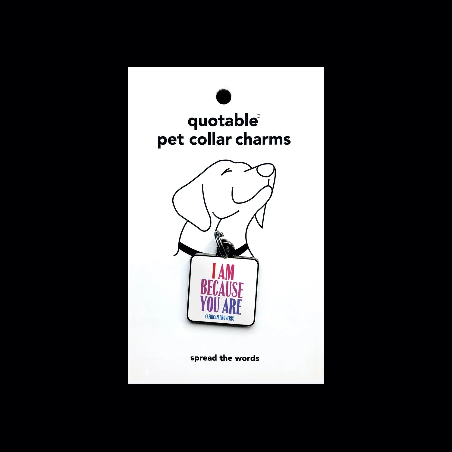 "i am because you are" pet collar charm
