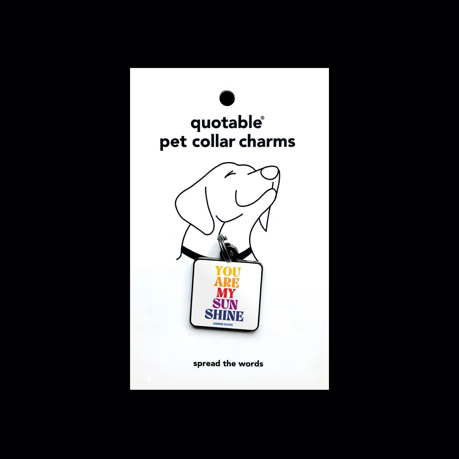 "you are my sunshine" pet collar charm
