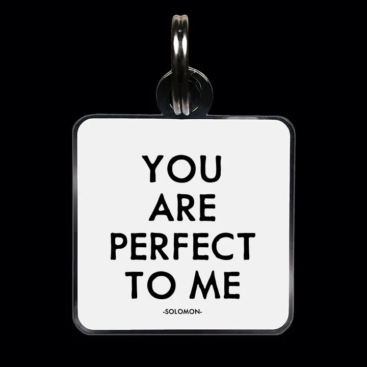 "you are perfect" pet collar charm
