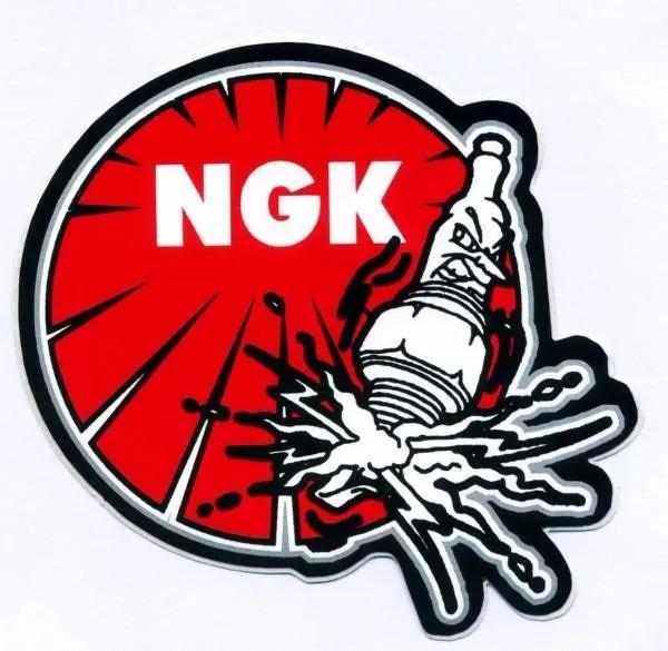 R5672A-8 NGK Racing Spark Plug    -    6564     -     Fast Tracked Shipping